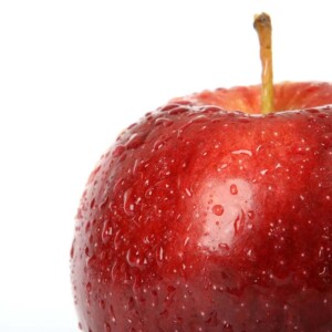 Perishable Foods ADB success in perishable food applications