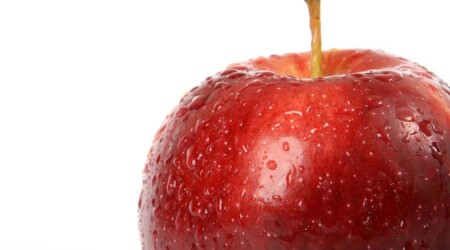 Perishable Foods ADB success in perishable food applications