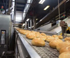 Food/Meat Processing Air Disinfection Biosecurity in food and meat processing applications