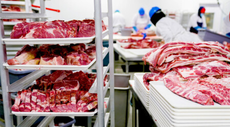 Meat Processing ADB success in meat processing