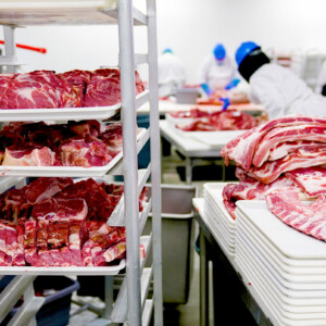 Meat Processing ADB success in meat processing
